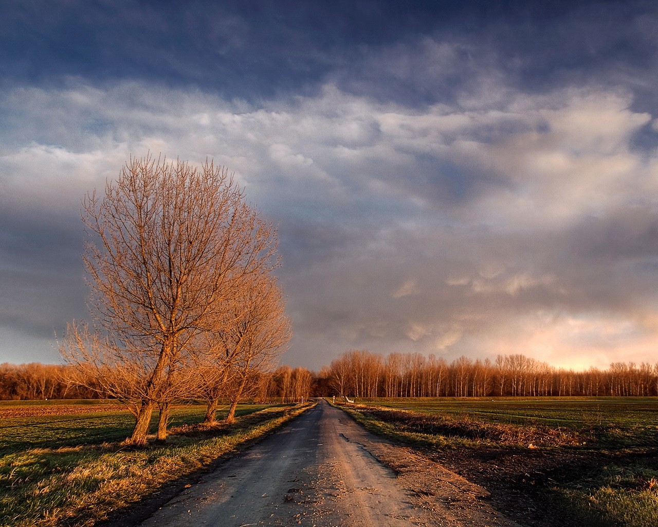 straße bäume wolken