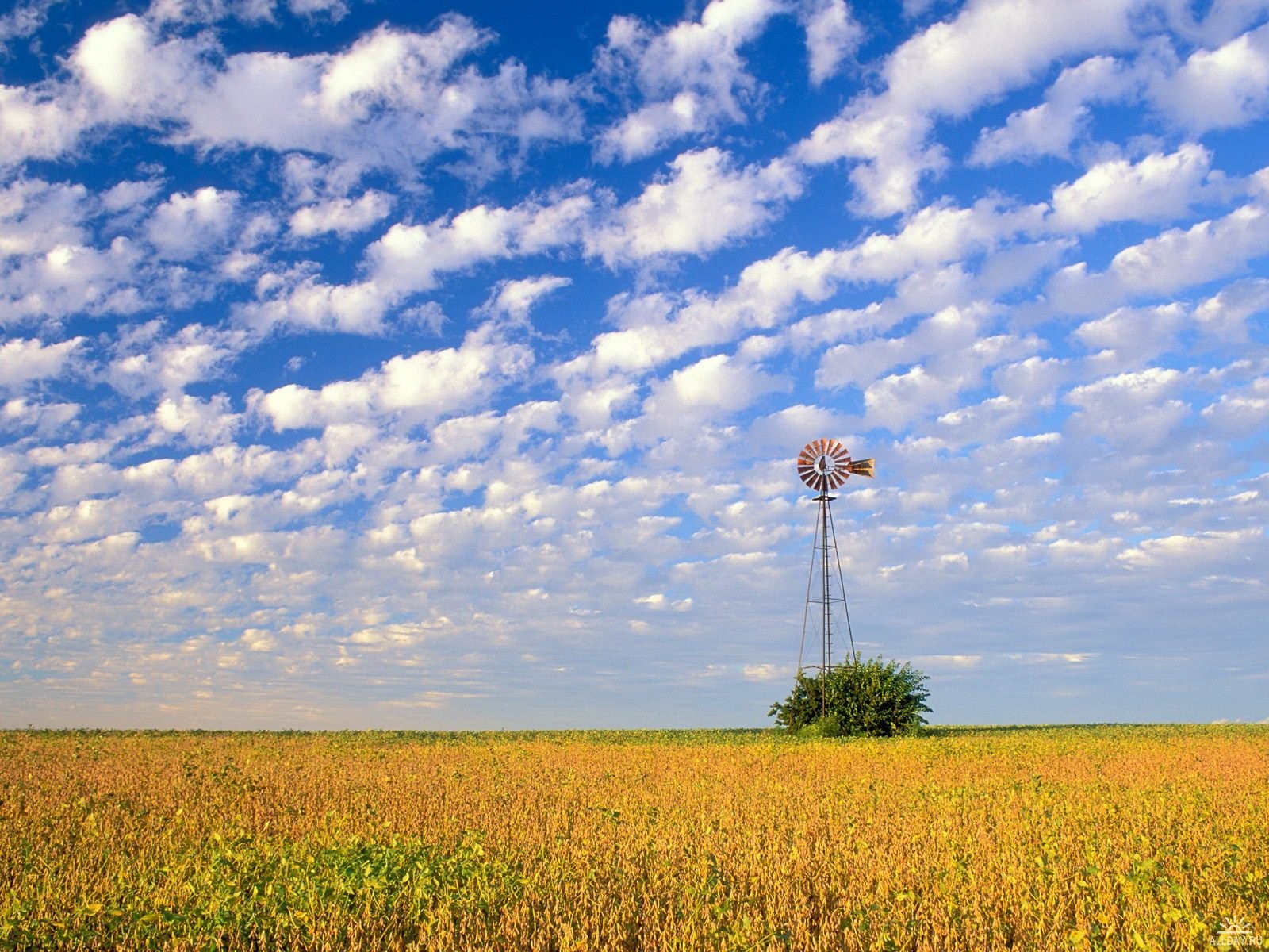 wolken himmel feld windmühle