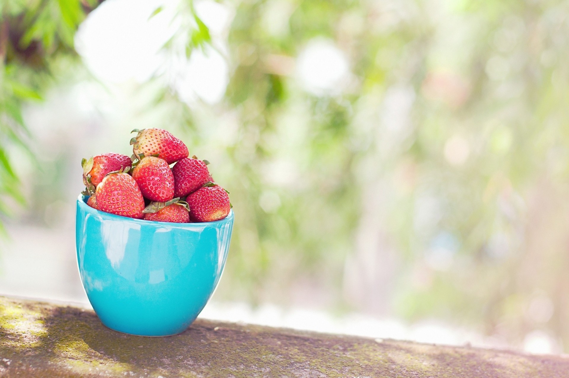 tasse obst becher gms erdbeere essen