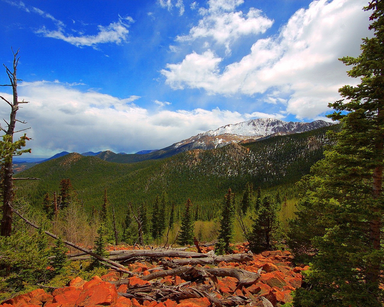 mountain tree forest clouds sky