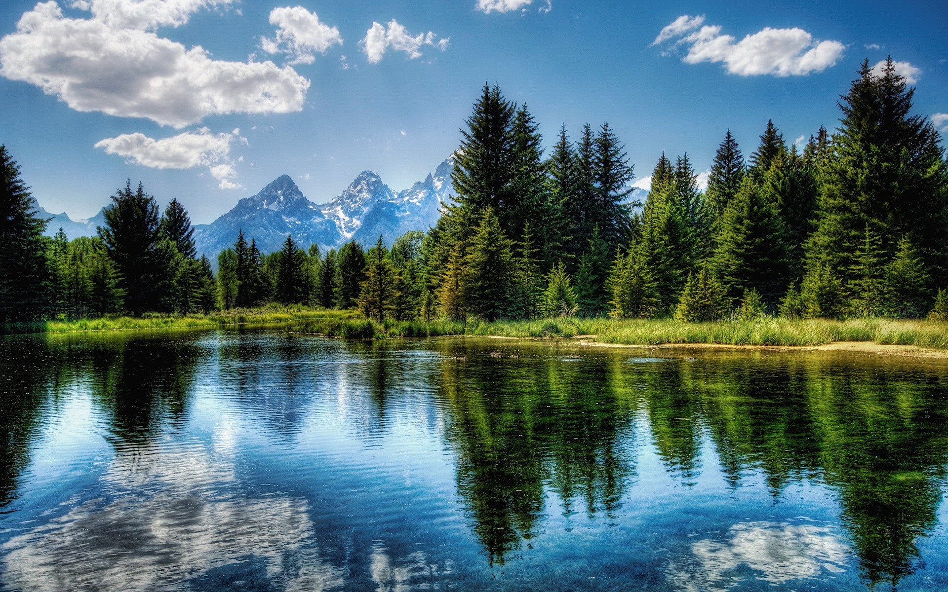 tree lake reflection clouds sky green blue