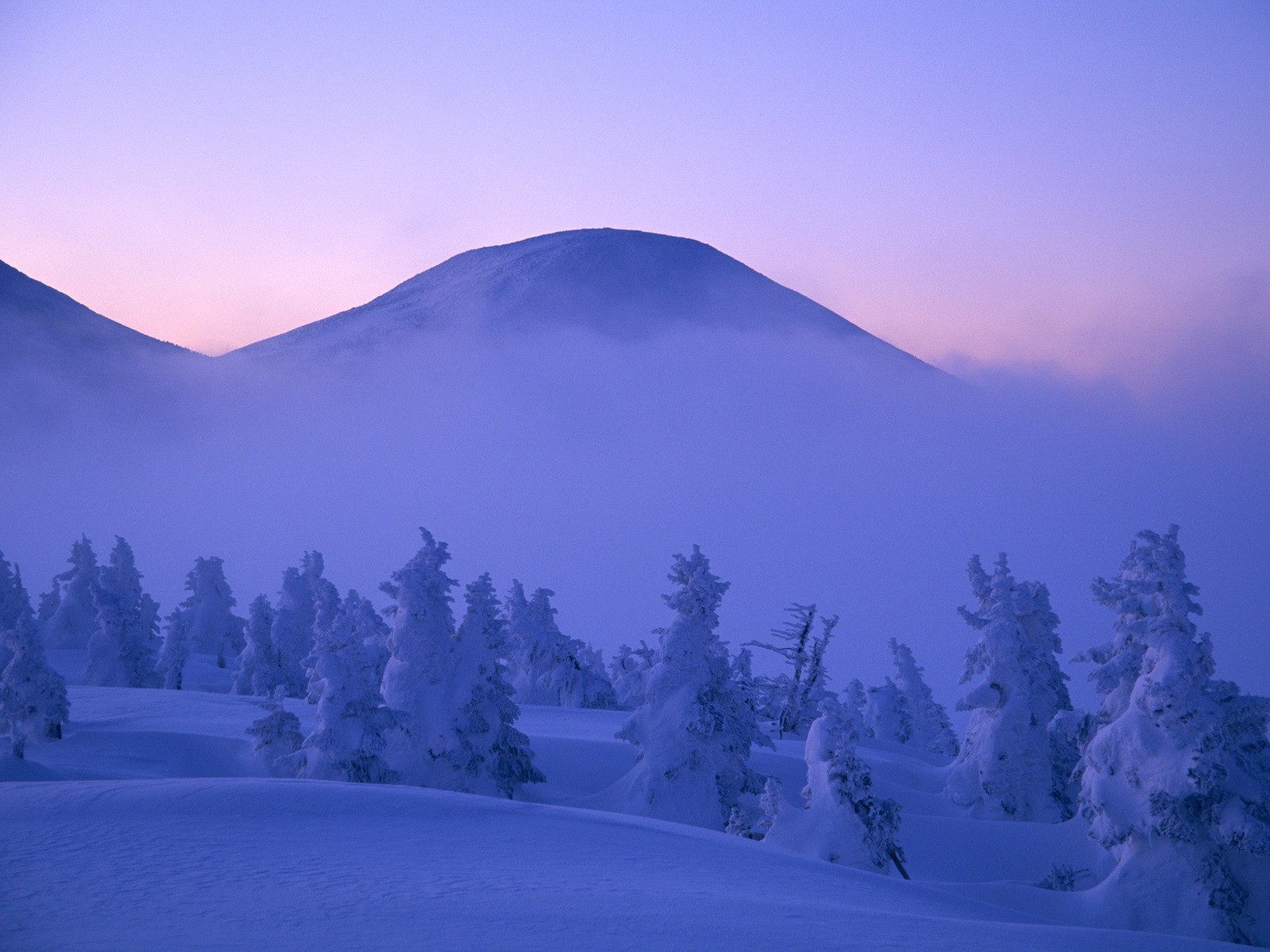 montagnes nuages brouillard neige hiver arbres