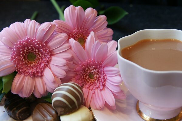 Tee-Party unter dem Geruch von Gerbera mit leckeren Süßigkeiten