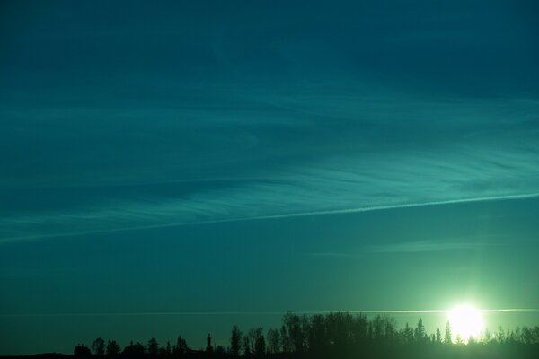 Trees are a heavenly sun with a shade of green