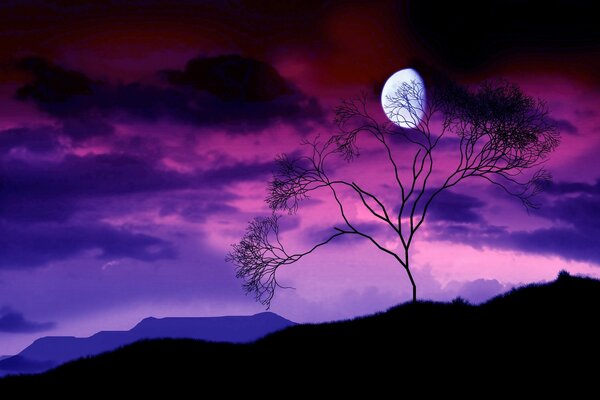 W nocy w pobliżu Księżyca stoi drzewo z gałęziami