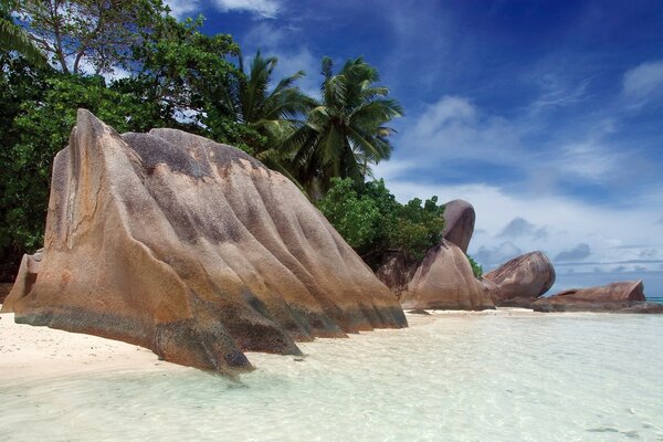 A tropical island with a sandy shore, large rocks and palm trees