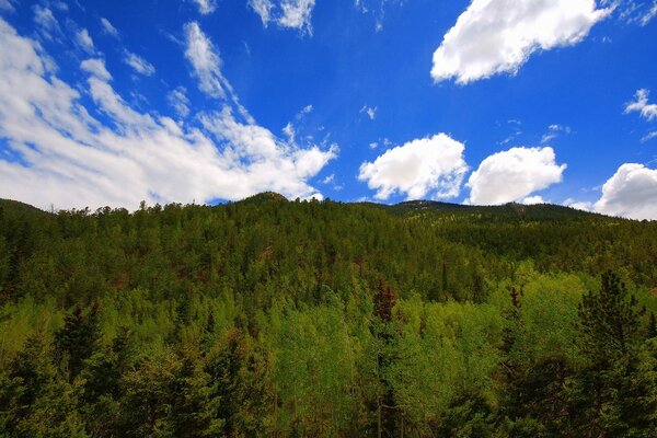 Alberi e montagne nuvole cielo bellezza