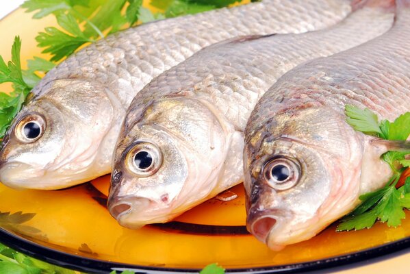 Fish on a saucer with a beautiful serving