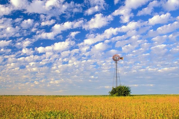 Moulin à vent solitaire dans un champ sous un ciel bleu