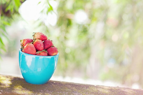 Taza de deliciosas fresas frescas y jugosas