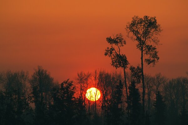 Sehr schöner Sonnenuntergang