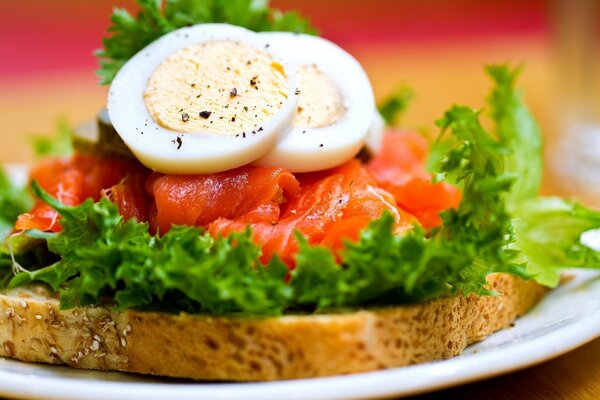 Ei-Sandwich oben auf einem weißen Teller