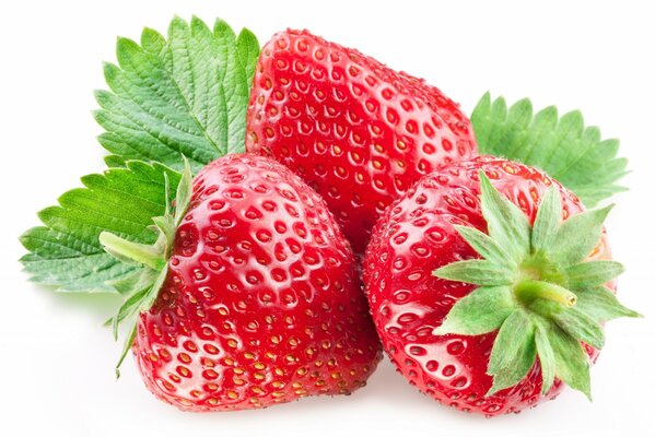 Ripe strawberries on a white background