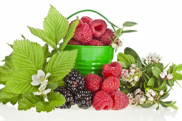 Juicy berries in a green bucket