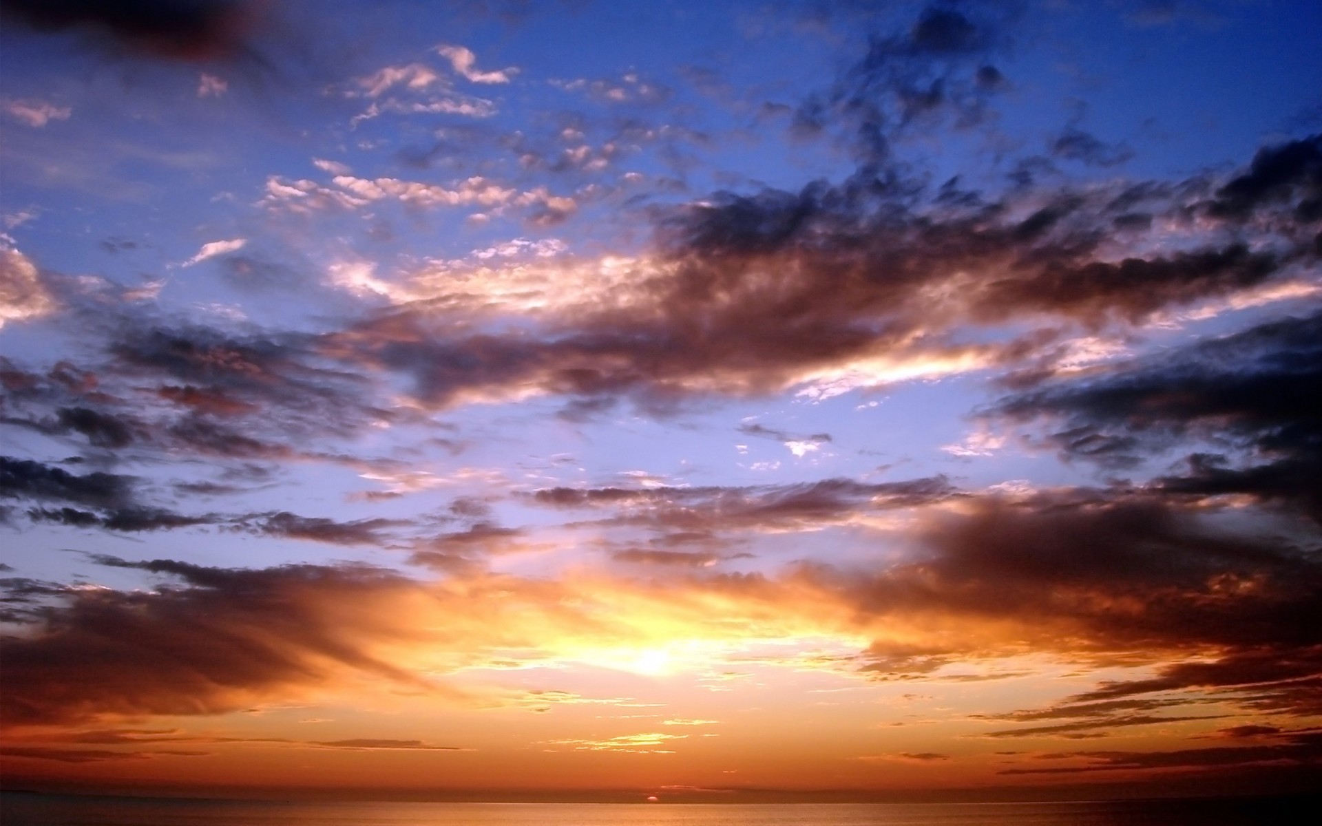 clouds sunset flowers sky sun