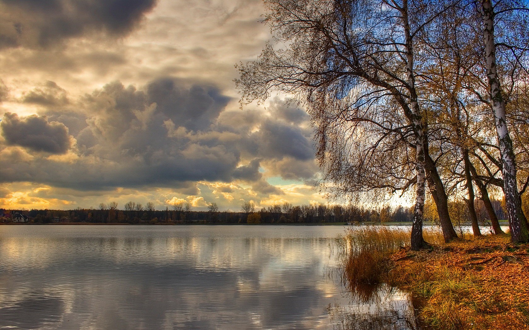 lago alberi nuvole betulle