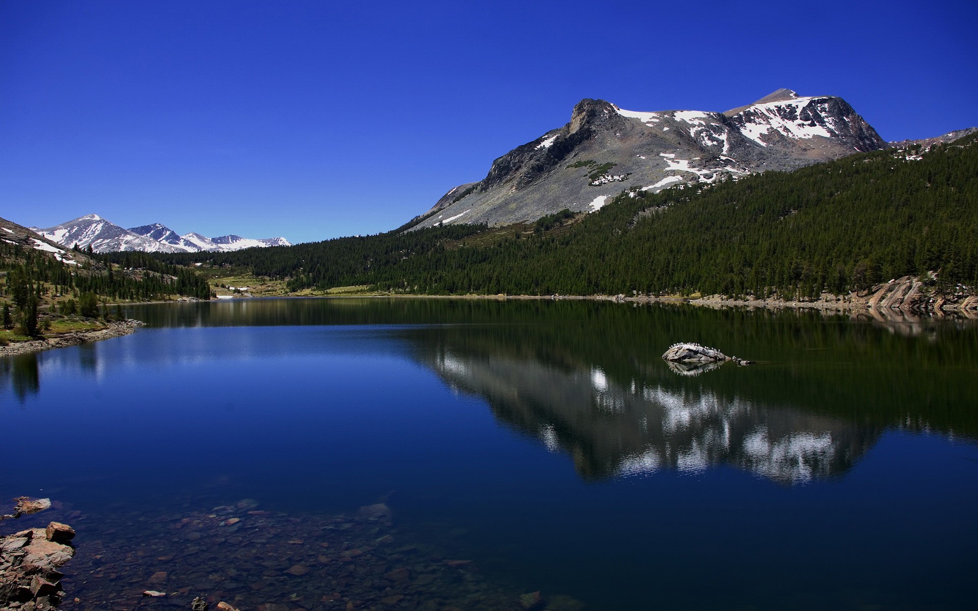 lac montagnes arbres