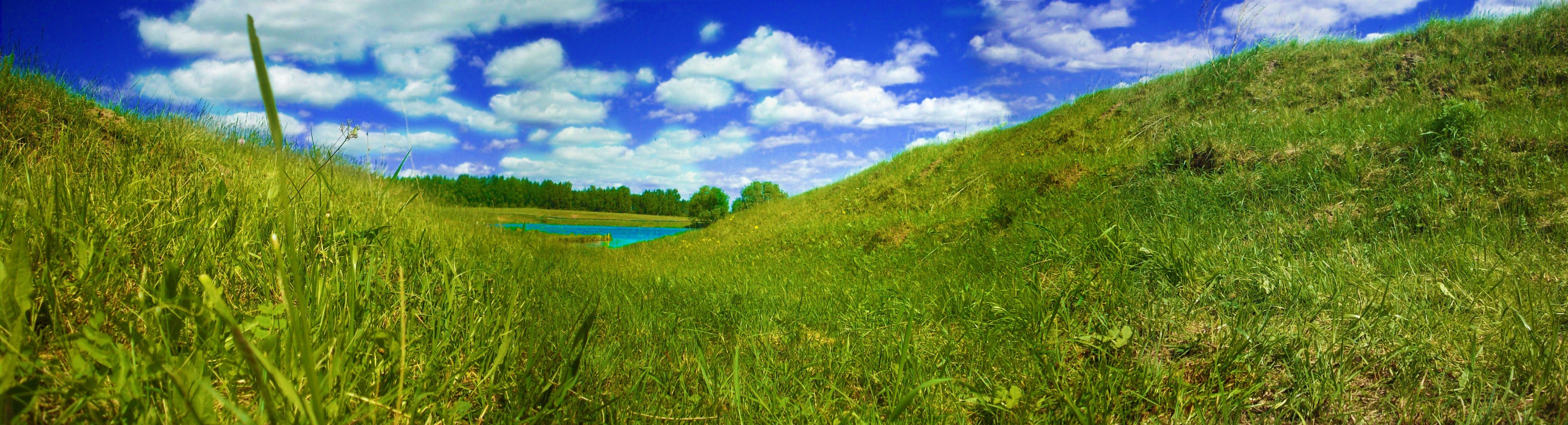 río cielo hierba mariposa aves verano panorama