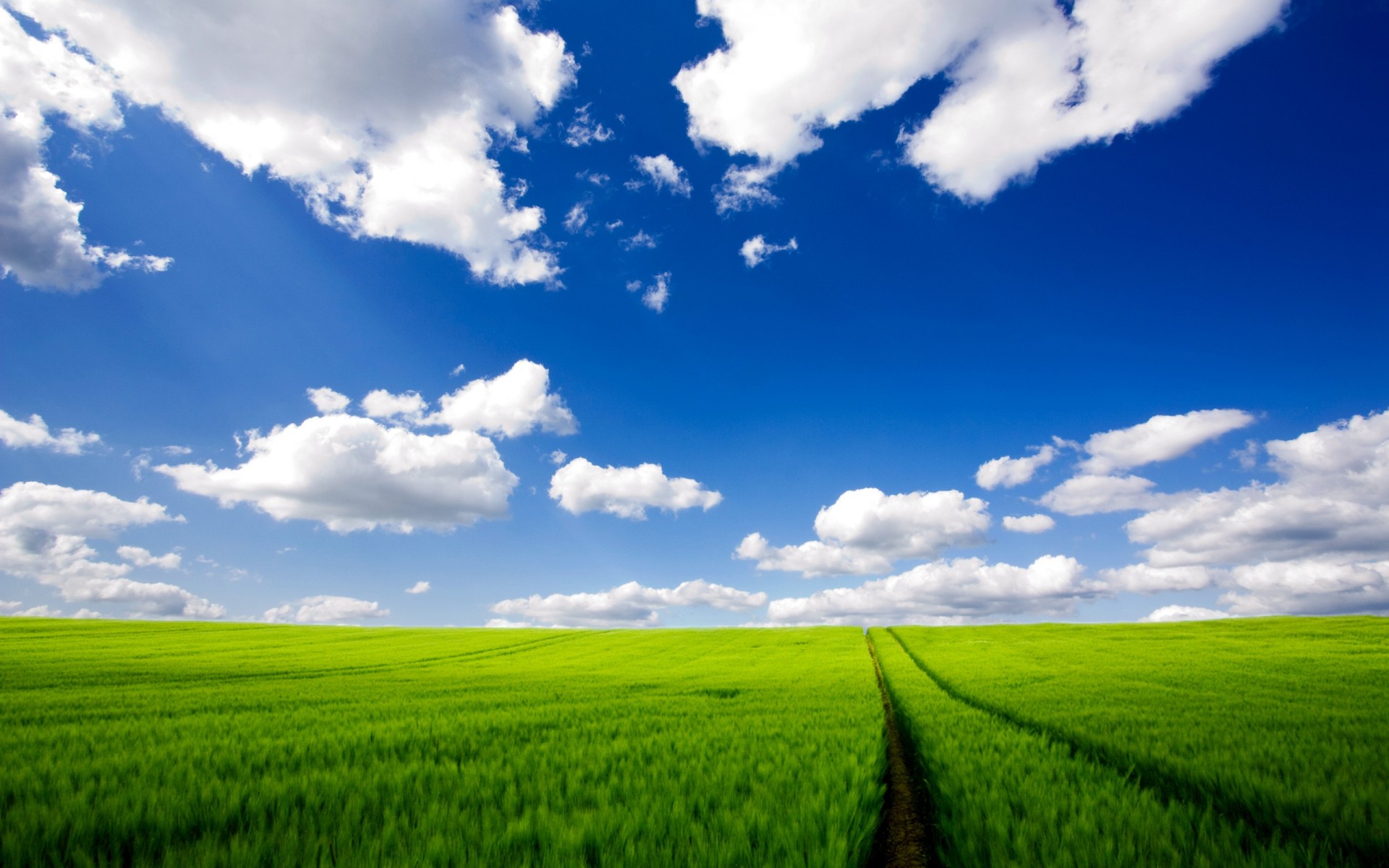 straße feld wolken