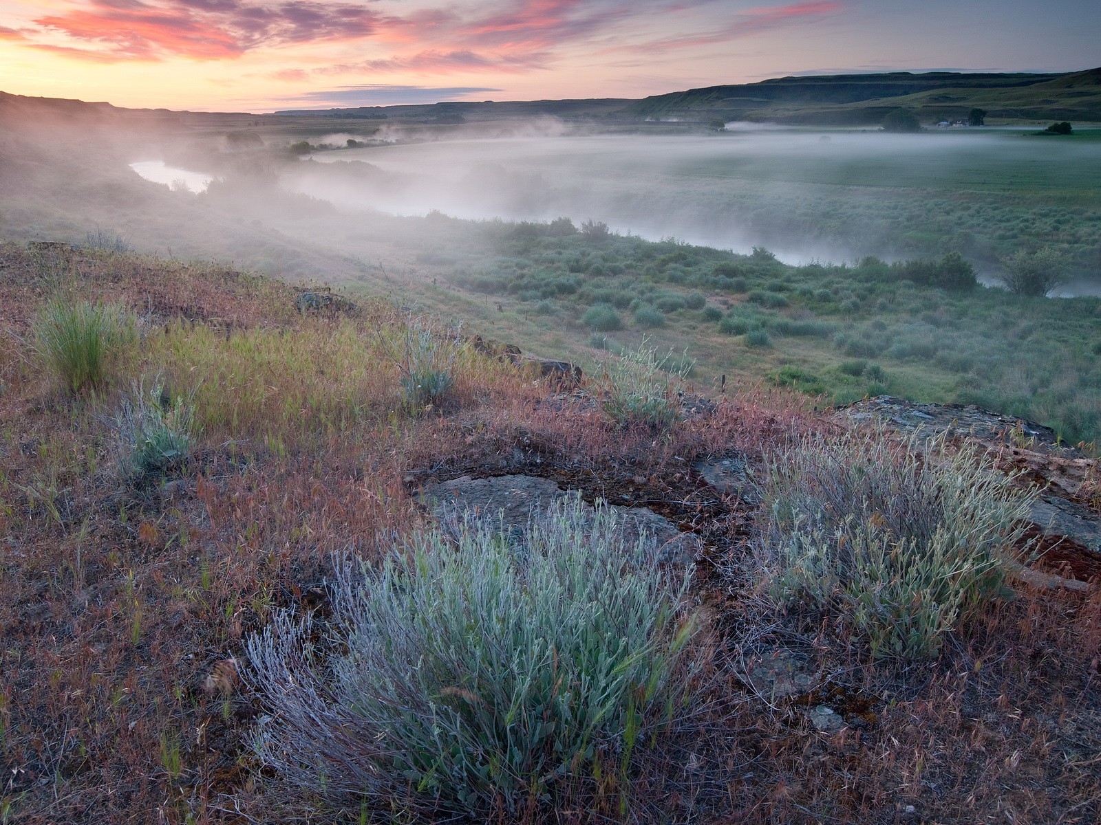 matin brouillard rivière champ herbe