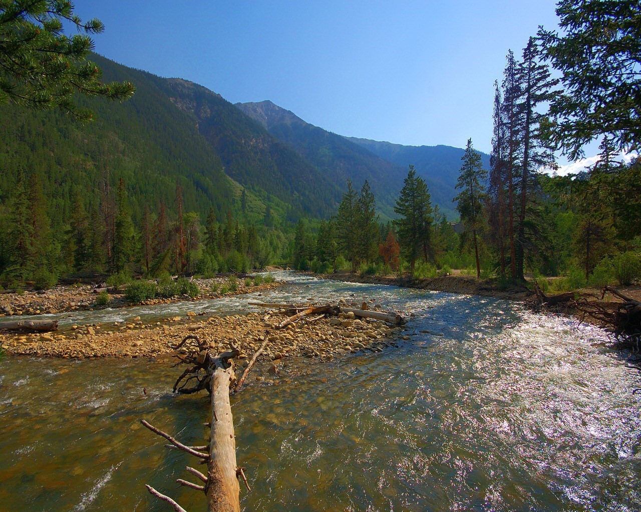 rivière arbres montagnes