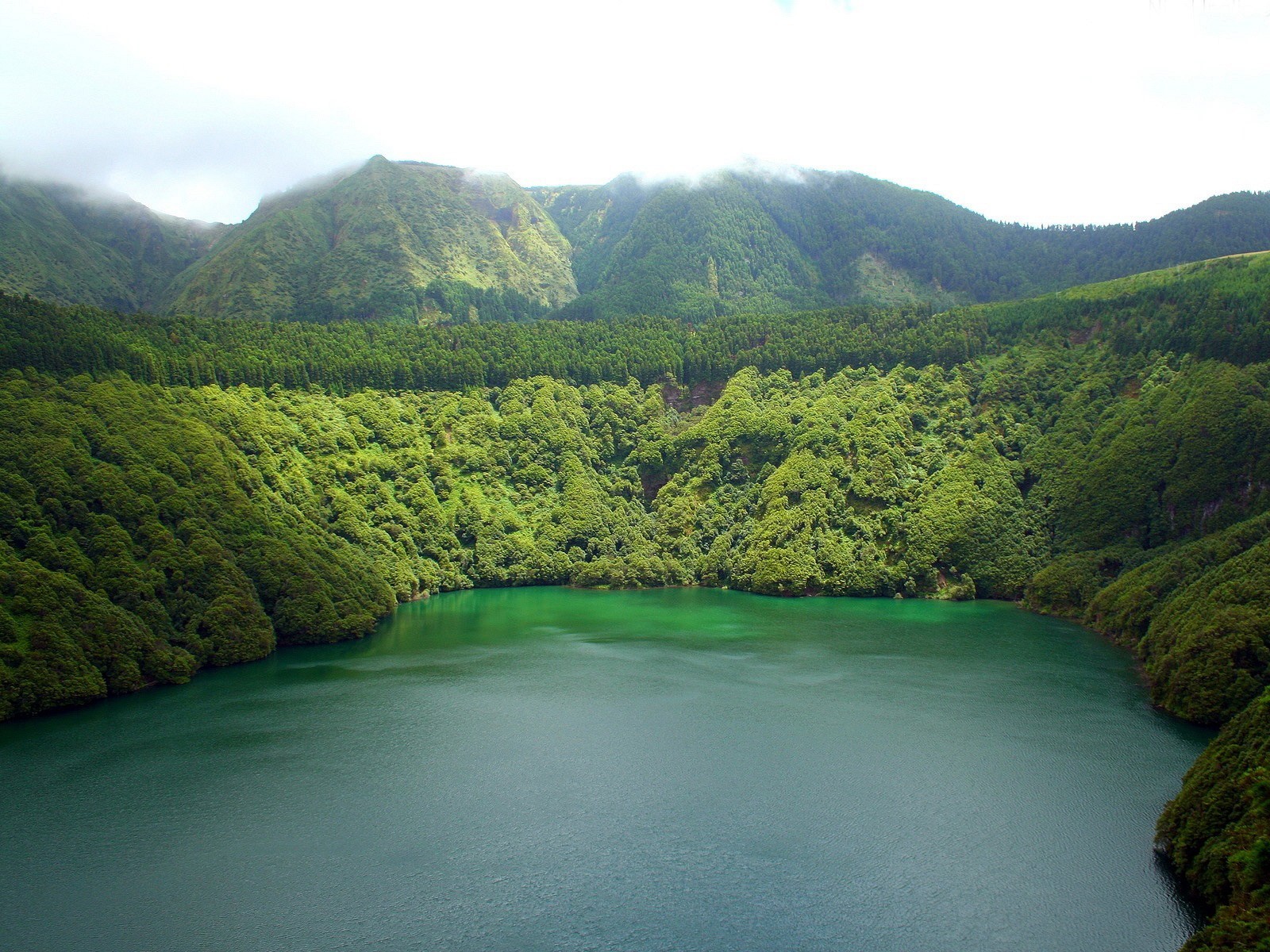 lago alberi montagne