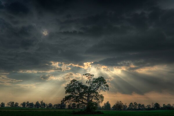 Rays and reflections of the sun are breaking out of the sky