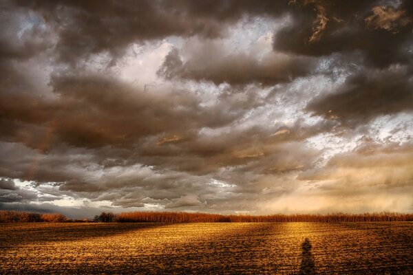 Dunkle Wolken versammeln sich über dem Feld