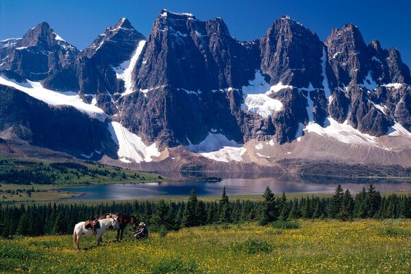 Los caballos y el hombre en el fondo de las montañas y el cuerpo de agua en Canadá