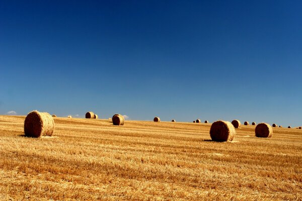 Ballen im Feld vor dem Hintergrund des blauen Himmels