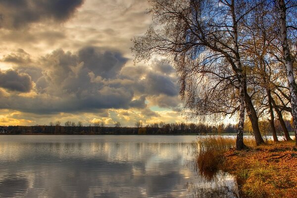 L automne du bouleau près du lac froid