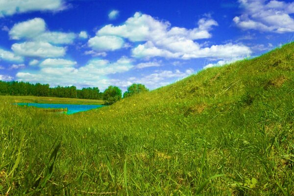 Панорама зелёной паляны и голубого неба