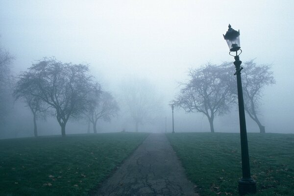 Sentiero nebbioso incorniciato da alberi e lanterne