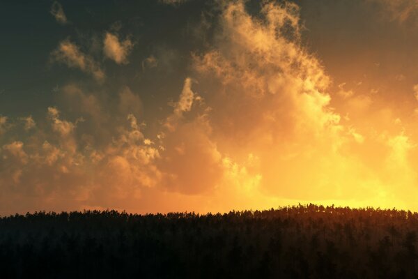 Puesta de sol ardiente con nubes y árboles en primer plano