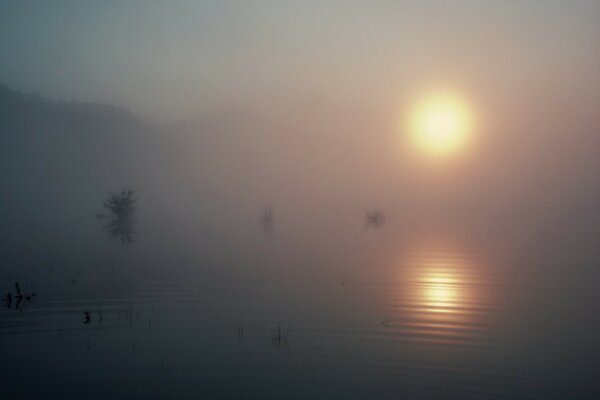 Lakes in the fog photo