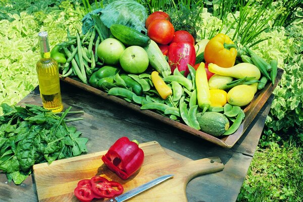 Légumes frais et pique-nique dans la nature