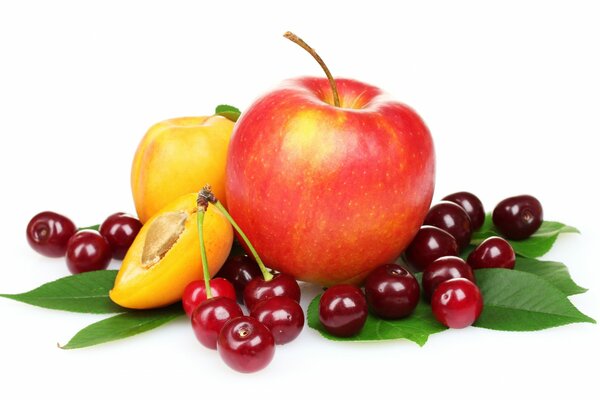 Fruits sur fond blanc, tranches de pêche et cerise