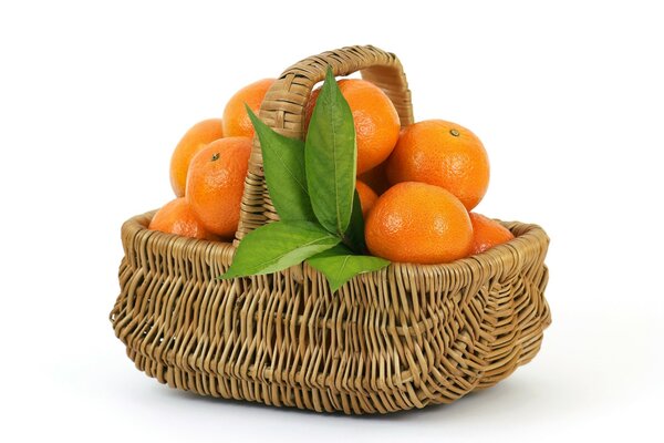 A pile of oranges in a basket on a white background