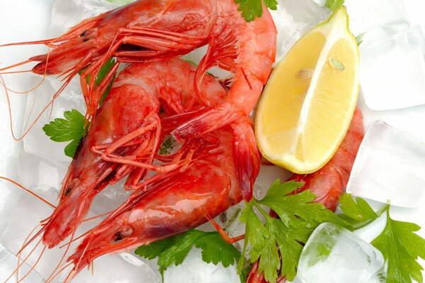 Shrimp with lemon slice and parsley