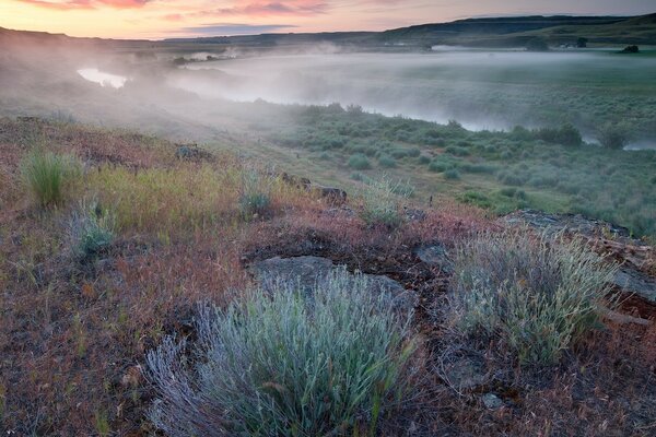 Morning fog on the mountain