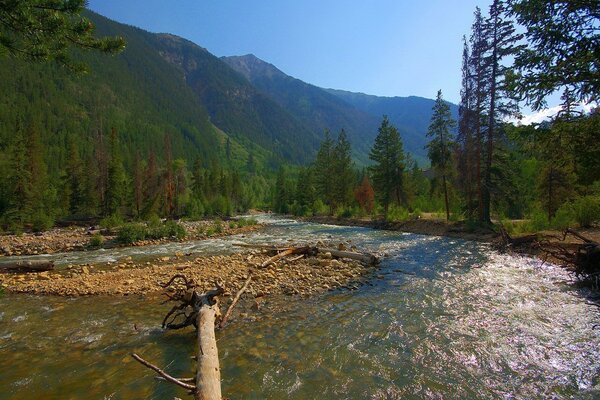 Beautiful mountain landscape with a mountain river