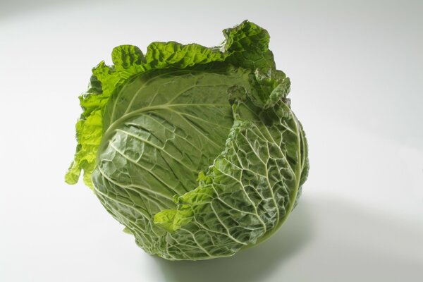 Cabbage kachan on a white background