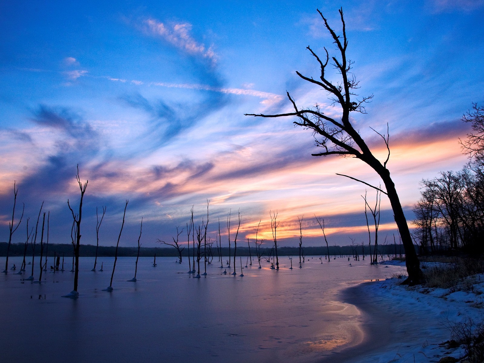 arbres soirée lac glace hiver