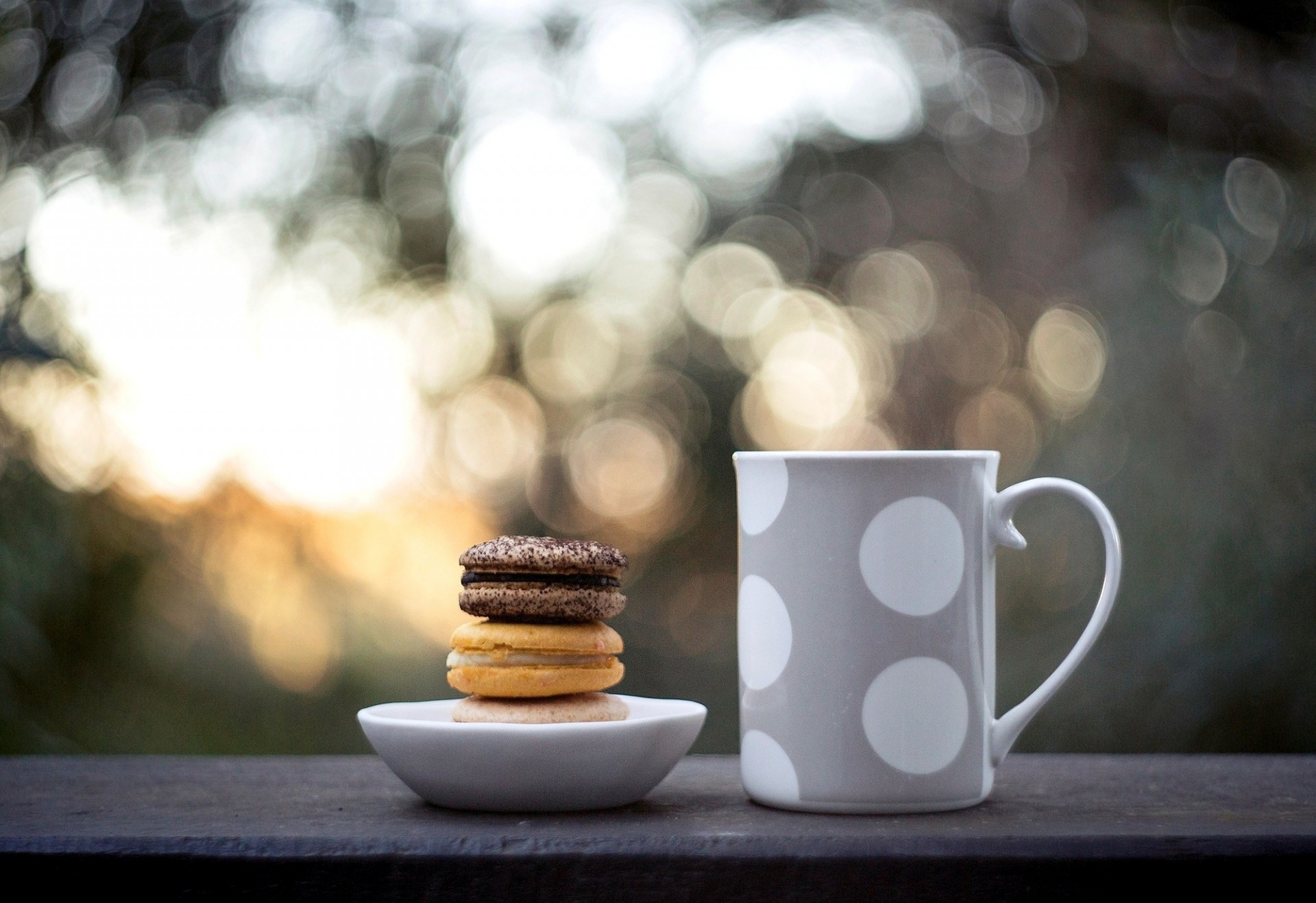 taza bokeh galletas comida dulces macaroon taza