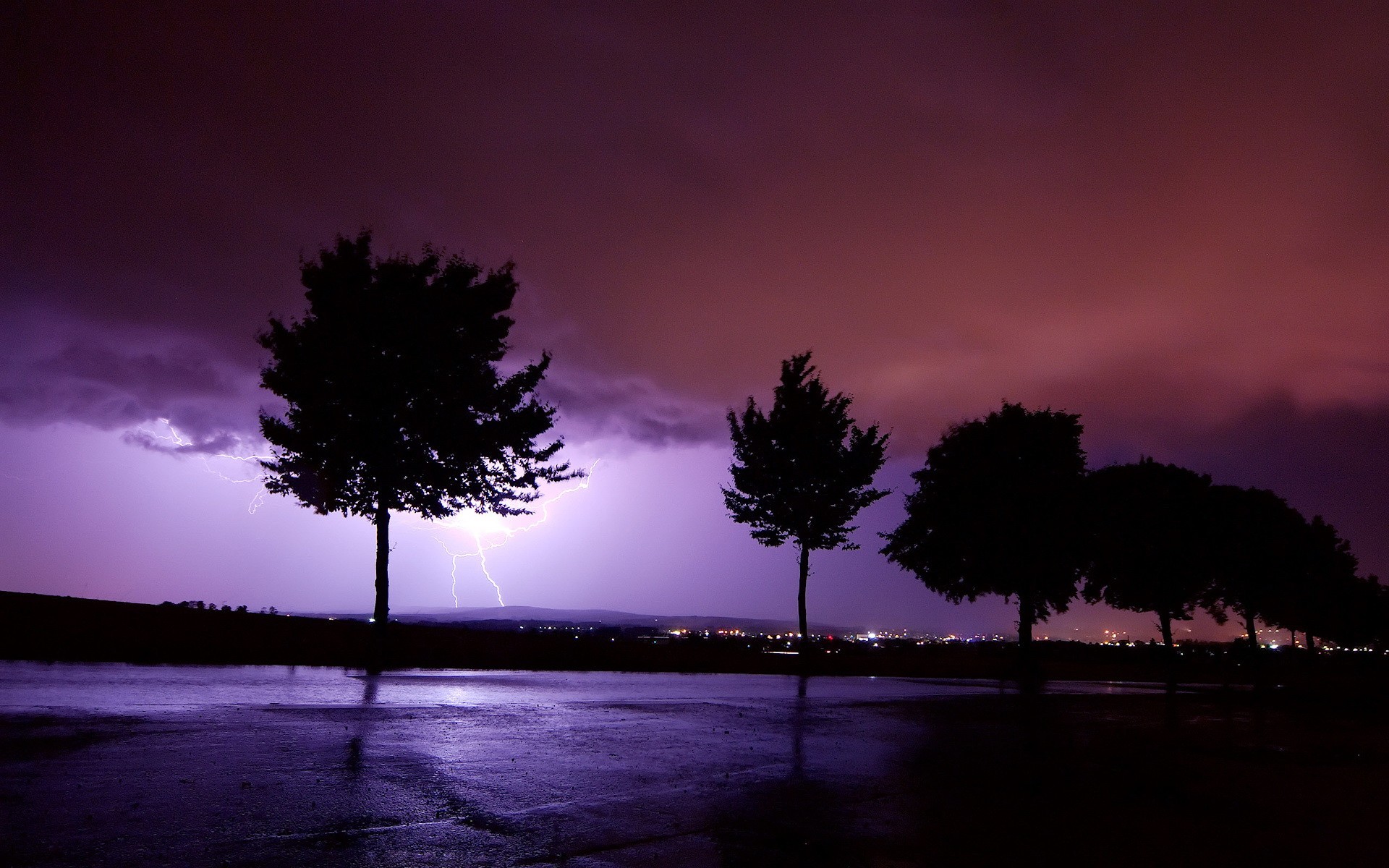 árboles relámpago tormenta