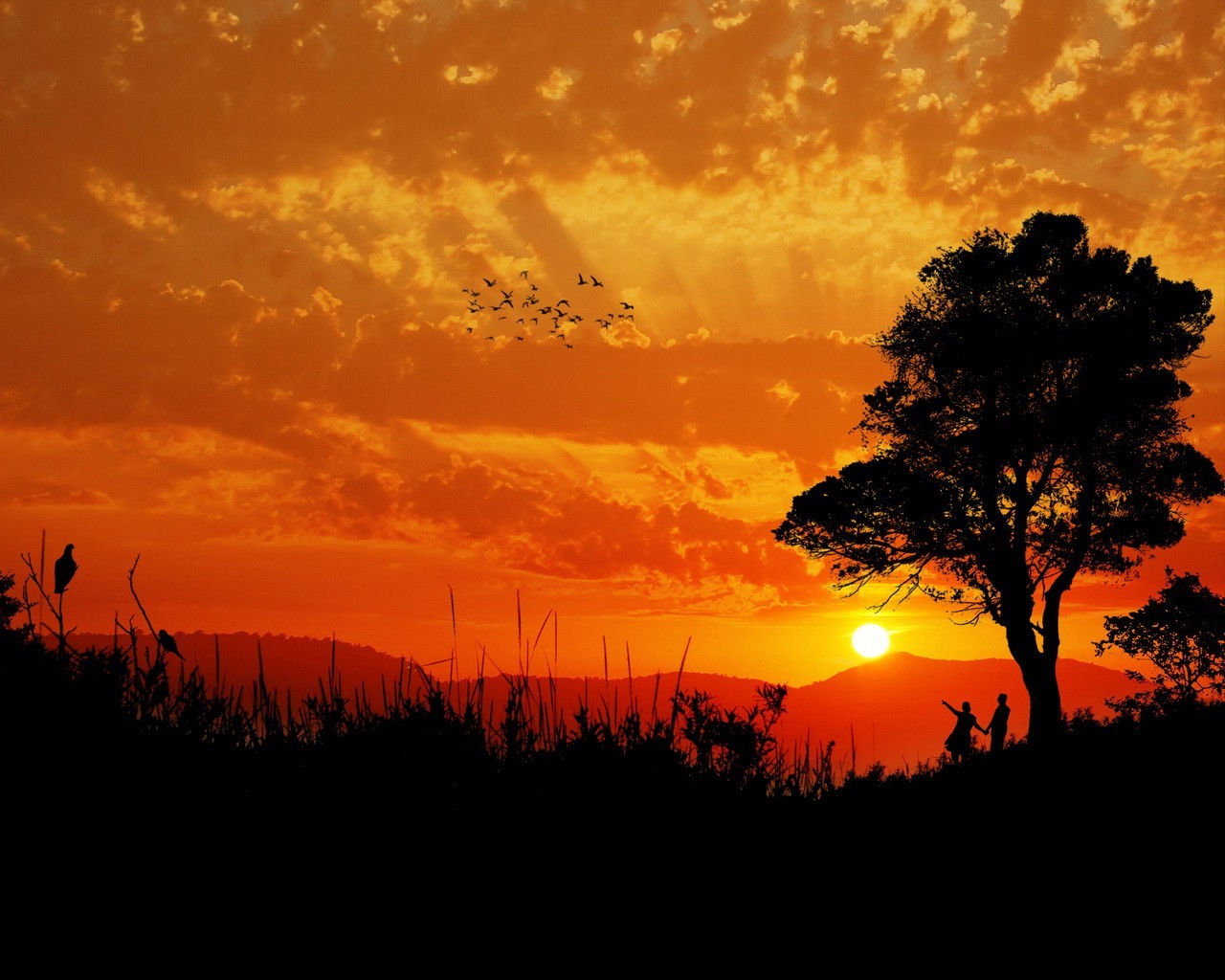 puesta de sol árbol pájaros sol nubes pareja