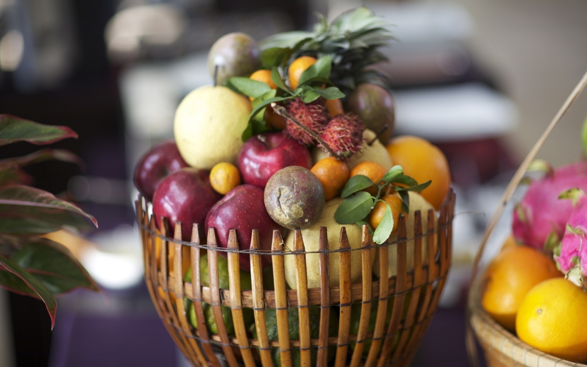 obst makrele essen einkaufen