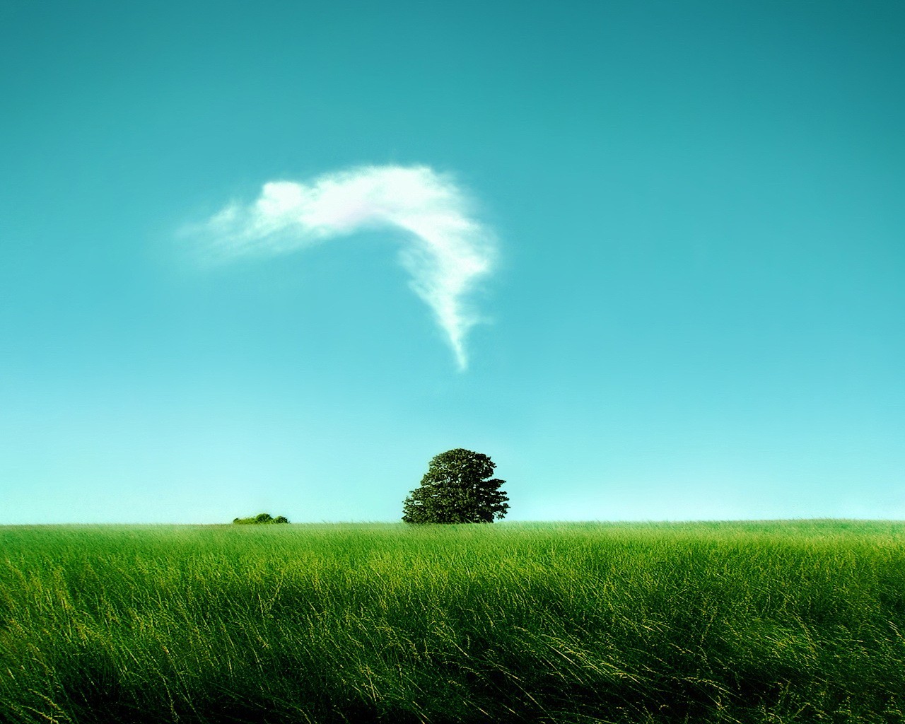 feld baum wolken