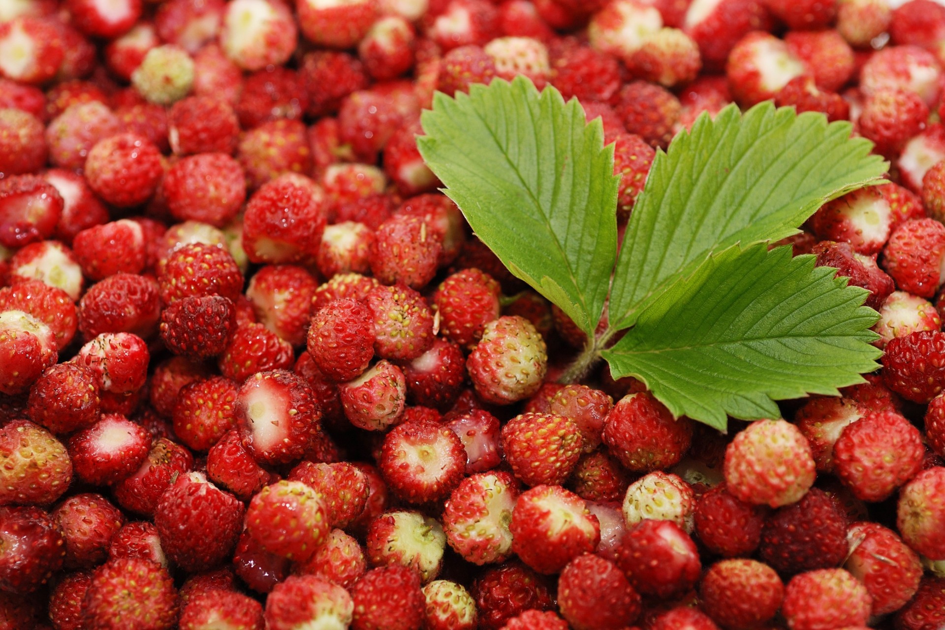 blatt vollbild widescreen hintergrund tapete essen. beeren erdbeeren rot