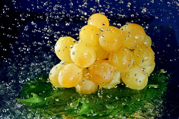 A bunch of grapes under a splash of water